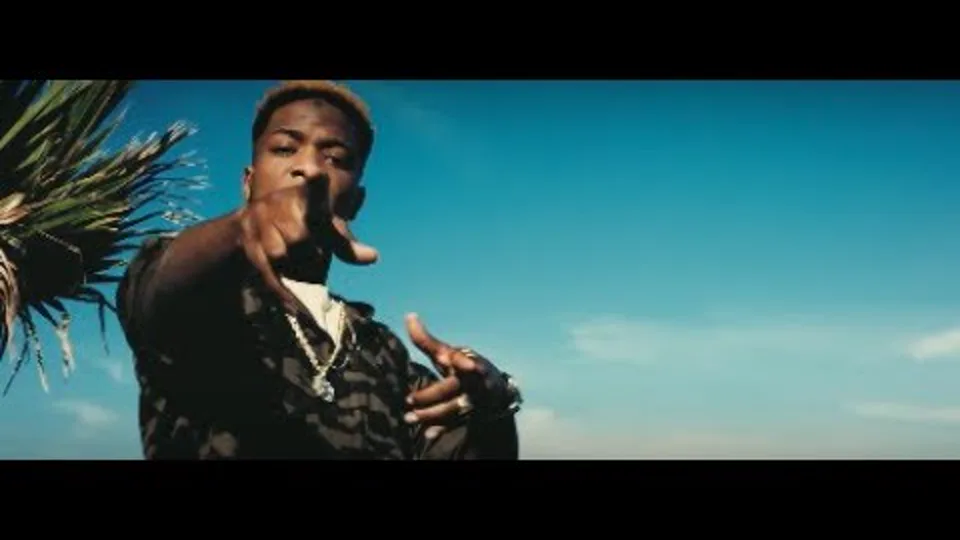 Miniature officielle du clip Niska — Salé